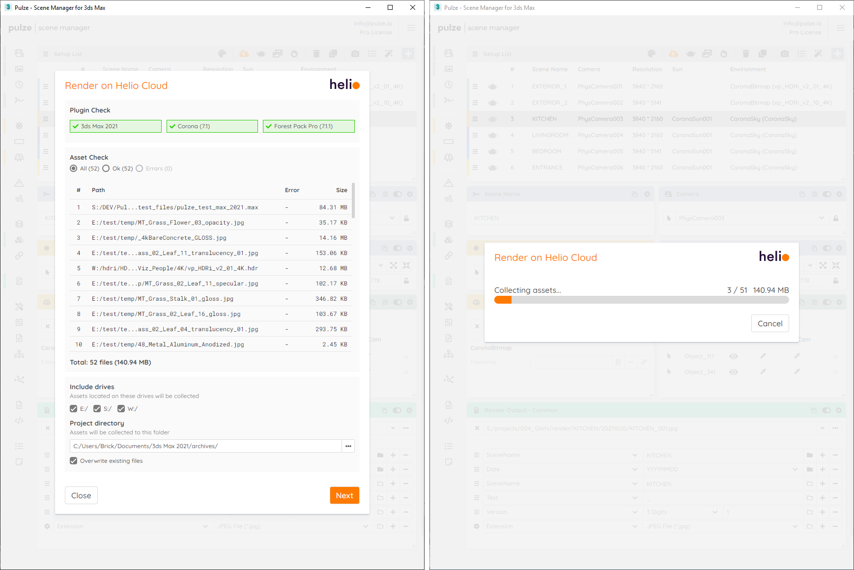 Analyze and Collect Assets